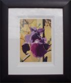 iris - painting by alex borissov - oil on canvas 2002